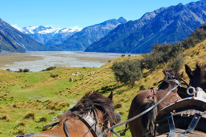 Lord of the Rings High Country Station Pioneering Experience & Scenic Day Tour - Tour Ratings