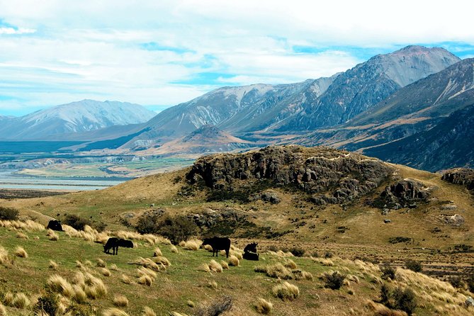 Lord of the Rings High Country Station Pioneering Experience & Scenic Day Tour - Tour Highlights