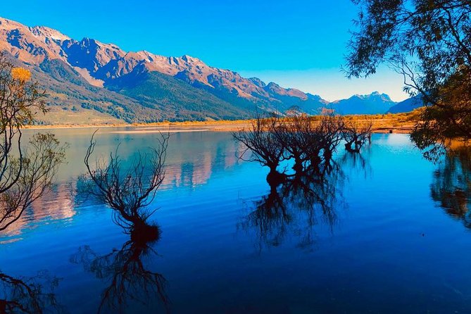 Lord of the Rings Scenic Half Day Tour From Queenstown - Guide and Commentary