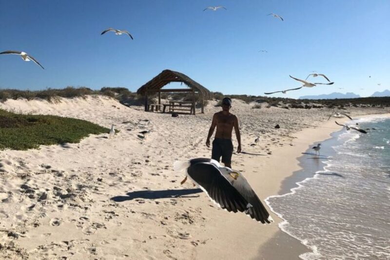 Loreto: Paddleboard Rental Service - Pickup Location