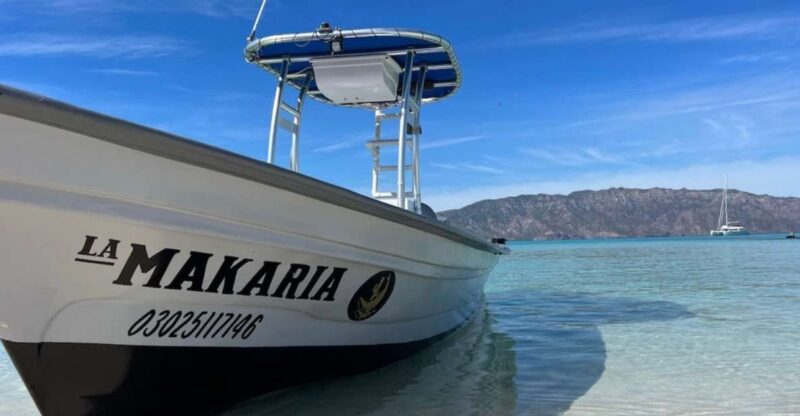 Loreto: Speedboat Tour With Swimming, Snorkeling and Picnic - Key Points