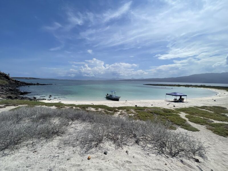 Loreto: Speedboat Tour With Swimming, Snorkeling and Picnic - Vibrant Marine Life