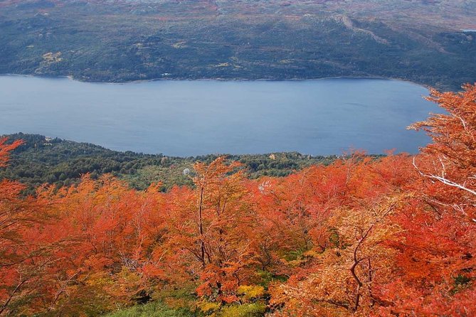 Los Alerces National Park, Esquel - Half Day - Key Points