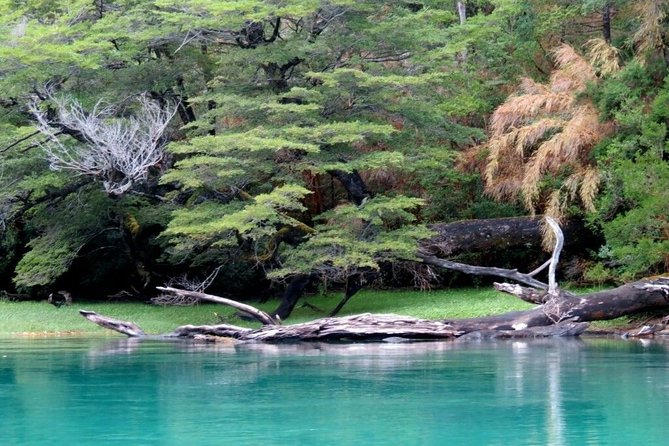 Los Alerces National Park, Esquel - Half Day - Flora and Fauna