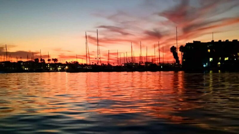 Los Angeles #1: Luxury Boat Cruise-Wine, Cheese & Sea Lions - Food, Drink, and Add-ons
