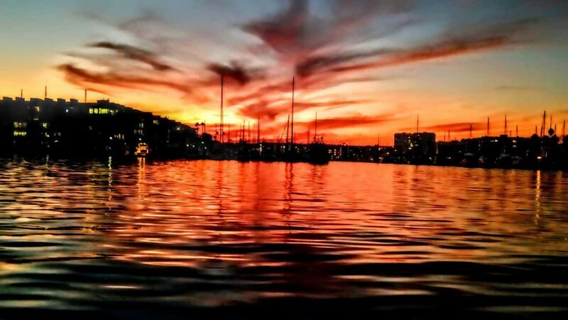 Los Angeles #1: Luxury Boat Cruise-Wine, Cheese & Sea Lions - Practical Tips for Travelers