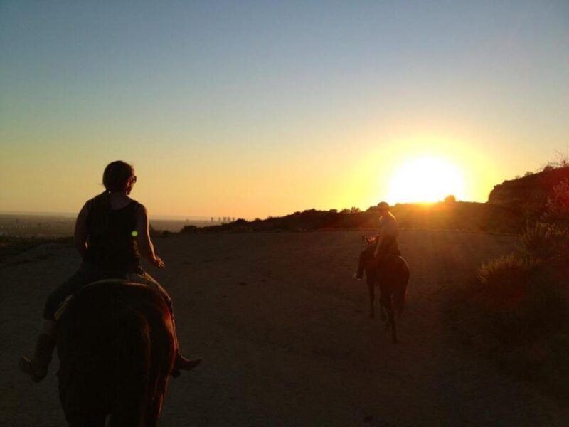Los Angeles: 2-Hour Hollywood Trail Horseback Riding Tour - Customer Feedback and Ratings