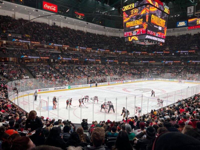 Los Angeles: Anaheim Ducks Ice Hockey Game Ticket - Inclusions