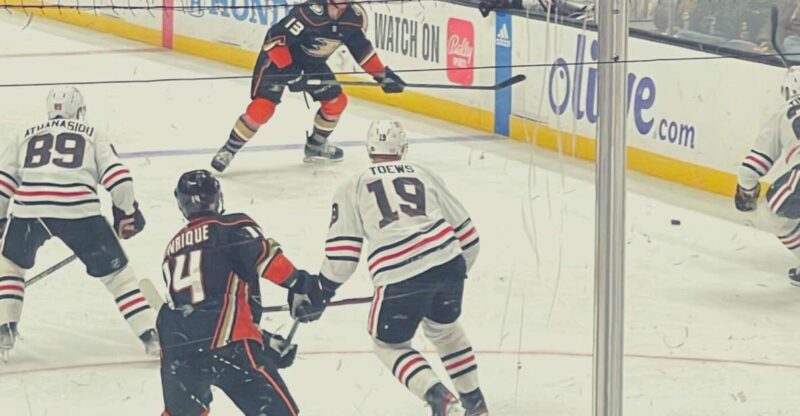 Los Angeles: Anaheim Ducks Ice Hockey Game Ticket - Customer Reviews
