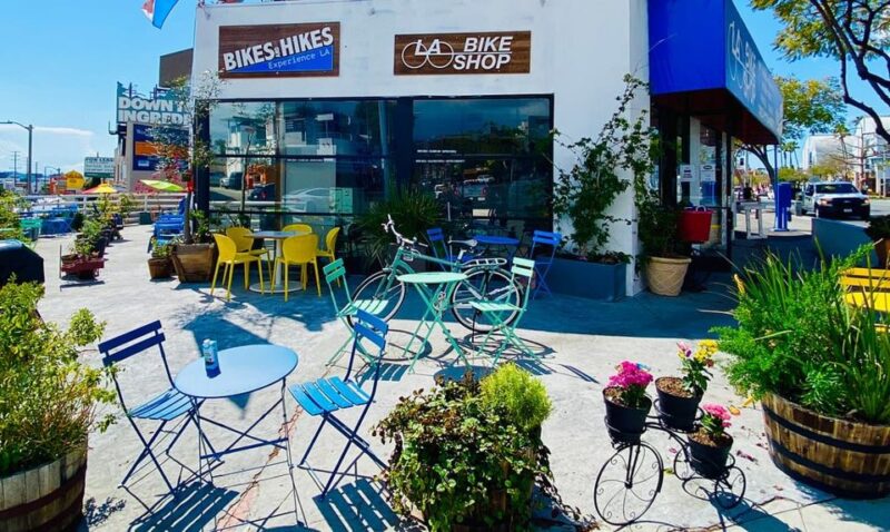 Los Angeles: Bike Rental (All Types) - Bike Options and Features