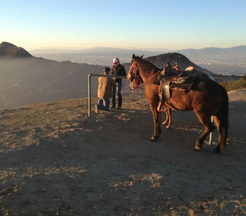 Los Angeles: Evening 2-Hour Hollywood Horseback Riding Tour - Practical Details and Considerations