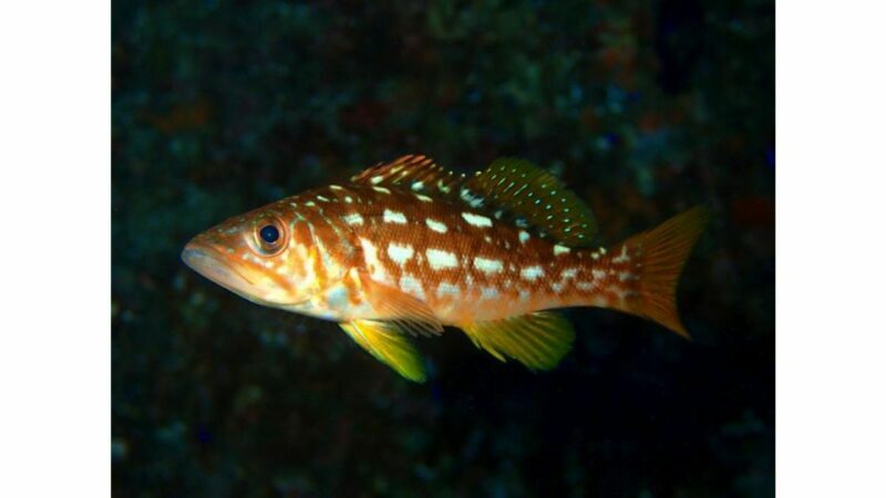 Los Angeles: Heal The Bay Aquarium in Santa Monica - Real-World Insights from Visitors