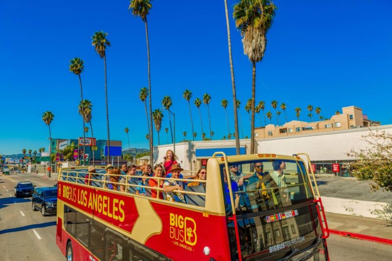 Los Angeles: Hop-on Hop-off Sightseeing Tour by Open-top Bus - Important Information and Meeting Point