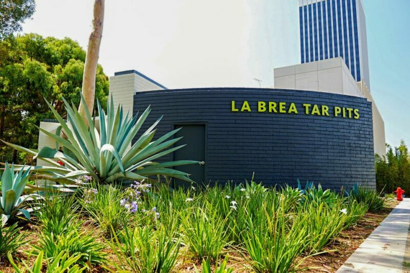 Los Angeles: La Brea Tar Pits Museum Ticket - Who will enjoy this experience?