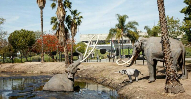 Los Angeles: La Brea Tar Pits Museum Ticket - Who Is This Tour Best For?