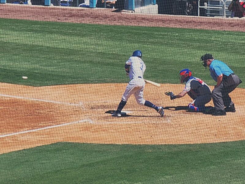 Los Angeles: LA Dodgers MLB Game Ticket at Dodger Stadium - Important Entry Guidelines