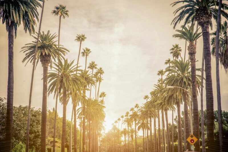 Los Angeles: LA in a Day Guided Electric Bike Tour - Participant Requirements