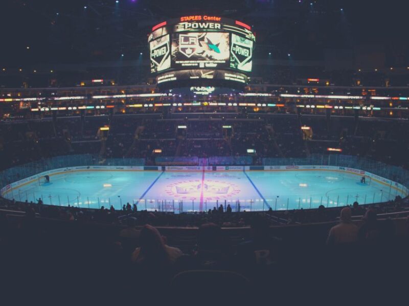 Los Angeles: LA Kings Ice Hockey Game Ticket - Experience Overview