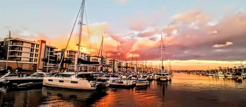Los Angeles Luxury Boat Cruise Wine, Charcuterie Sealions - Who Should Book This?
