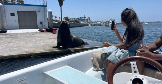 Los Angeles: Marina Del Rey BYOB Cruise - Frequently Asked Questions