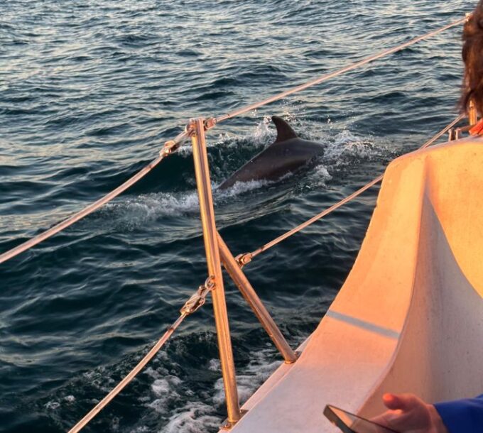 Los Angeles: Marina Del Rey Cruise on a Classic Sailboat - Itinerary Details