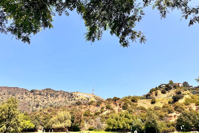Los Angeles Private Tour - Taking in the Farmers Market Experience