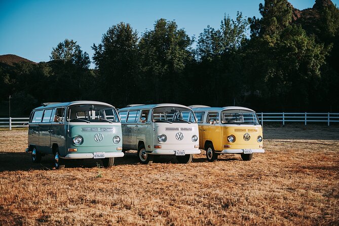Los Angeles: Private Vintage VW Bus Tour in Malibu - Native Wildlife Sightings