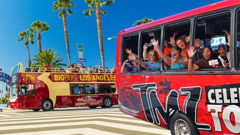 Los Angeles: TMZ Celebrity Tour & 1-Day Hop-on Hop-off Tour - Key Points