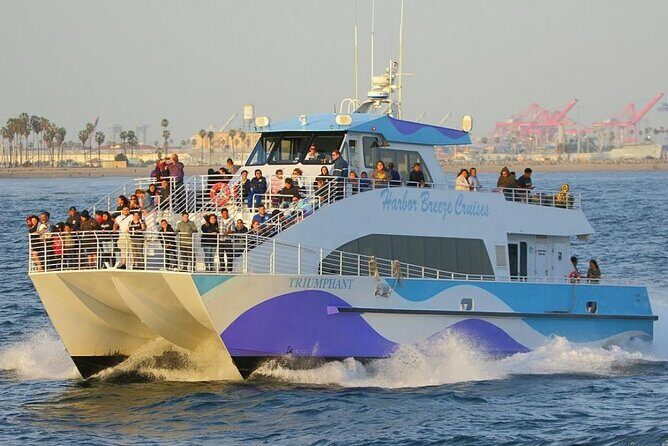 Los Angeles Whale and Dolphin Watching Cruise from West Harbor - The Real Experience: What Travelers Say