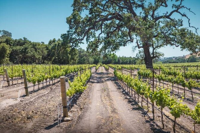 Los Angeles: Wine Experience at Fess Parker Winery by Helicopter - Tasting Experience at Fess Parker Winery