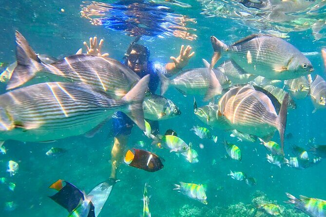 Los Arcos 5 islands Snorkeling Cliff Jumping and Hidden Beach - An In-Depth Look at the Tour Experience
