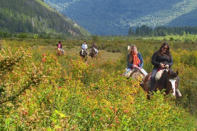 Los Baqueanos Lake Gutierrez Horseback Riding - Key Points