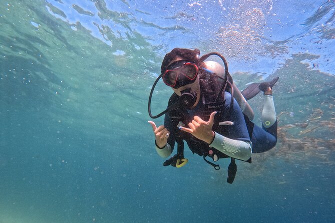 Los Cabos 1 Tank Dive to Land's End (Certified Divers) - Key Points