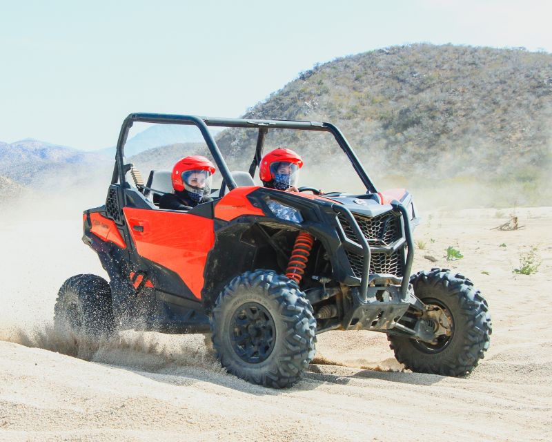 Los Cabos: 2 in 1 Combo Tour - Key Points