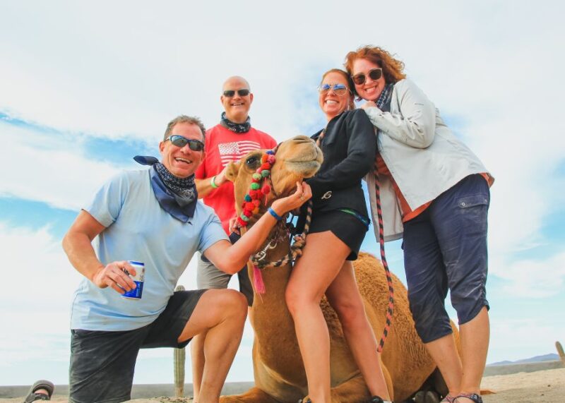 Los Cabos: 2 in 1 Combo Tour - Pickup and Safety Information