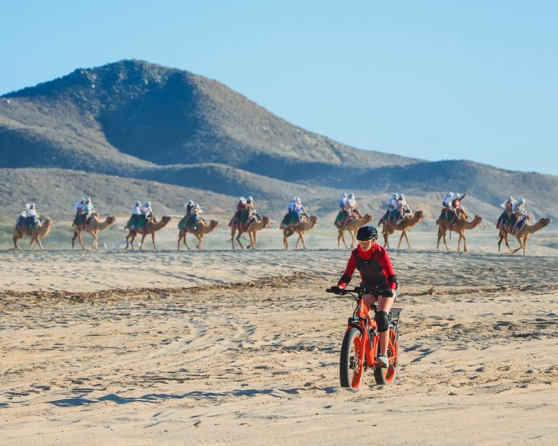 Los Cabos: 2 in 1 Combo Tour - Additional Information
