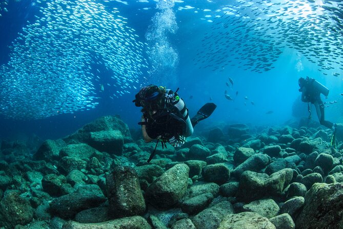 Los Cabos 2 Tanks Dive to the Corridor (Certified Divers) - Health and Safety Guidelines