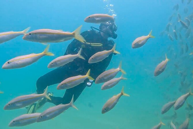 Los Cabos 2 Tanks Dive to the Corridor (Certified Divers) - Customer Reviews and Testimonials