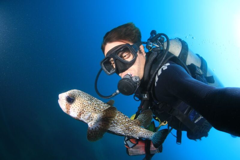 Los Cabos 3-Hour Certified Scuba Diving Tour - Optional Services