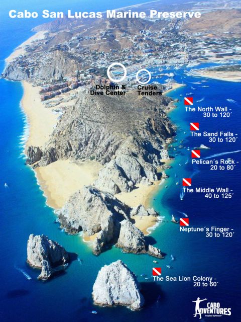 Los Cabos 3-Hour Certified Scuba Diving Tour - Participant Requirements