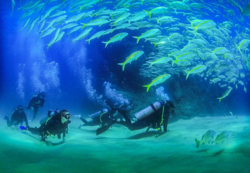 Los Cabos: 3-Hour Introductory Scuba Diving Adventure - Instructional Orientation and Skills Test
