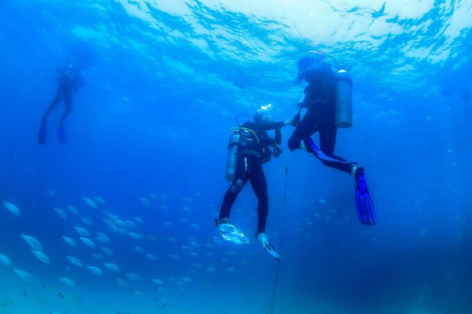 Los Cabos: 3-Hour Introductory Scuba Diving Adventure - Frequently Asked Questions