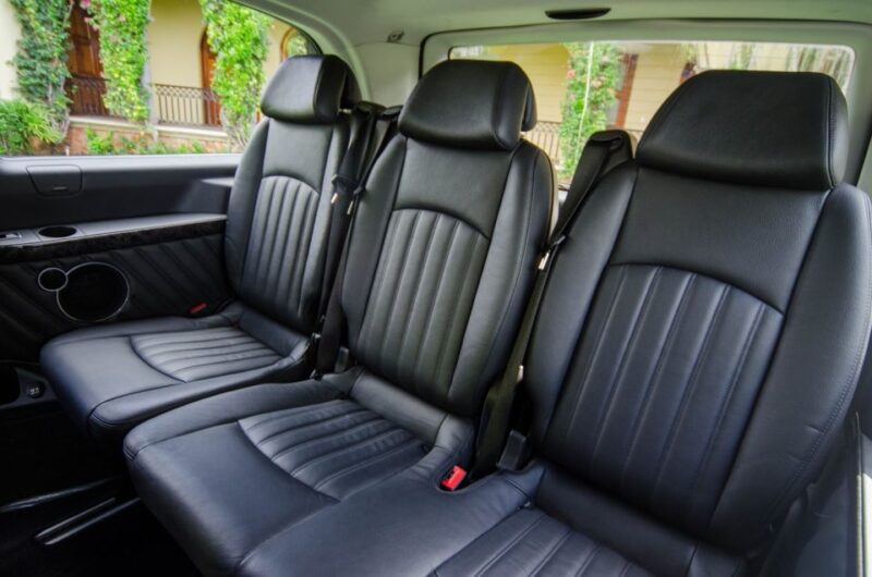 Los Cabos Airport (SJD): Private Deluxe Minivan Transfer - Vehicle and Amenities