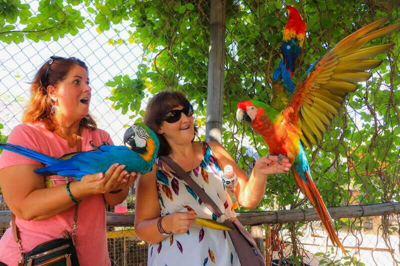 Los Cabos: Animal Encounter & Aqua Park Adventure - The Experience: A Closer Look