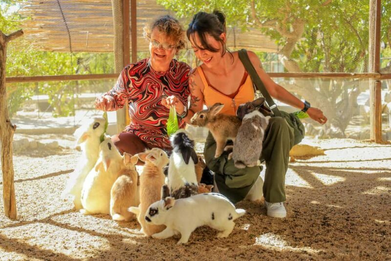 Los Cabos: Animal Encounter & Aqua Park Adventure - Practical Tips for Your Visit
