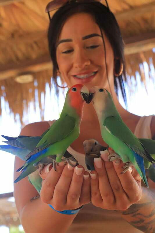 Los Cabos: Animal Encounter & Aqua Park Adventure - FAQ