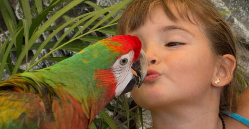 Los Cabos: Animal Sanctuary Tour - Key Points