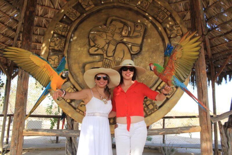 Los Cabos: Animal Sanctuary Tour - Interaction With Rescued Animals