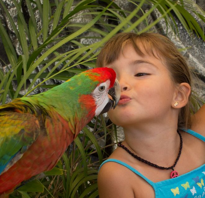Los Cabos: Animal Sanctuary Tour - Interactive Stations