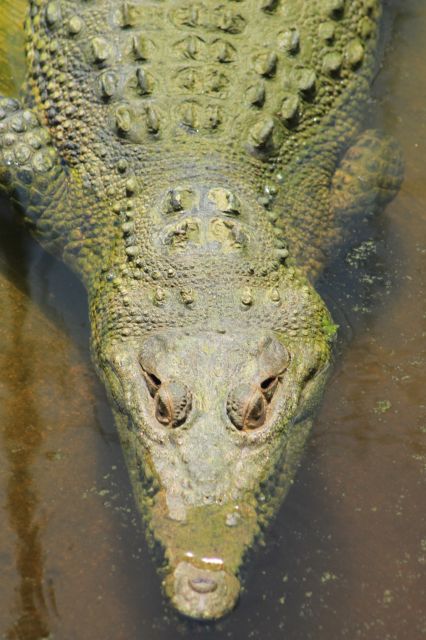 Los Cabos: Animal Sanctuary Tour - Transportation Details